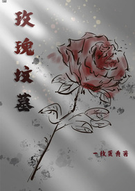 玫瑰洐小说
